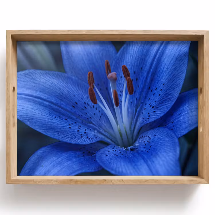 Tablett - Blaue Blume – Natur — 1