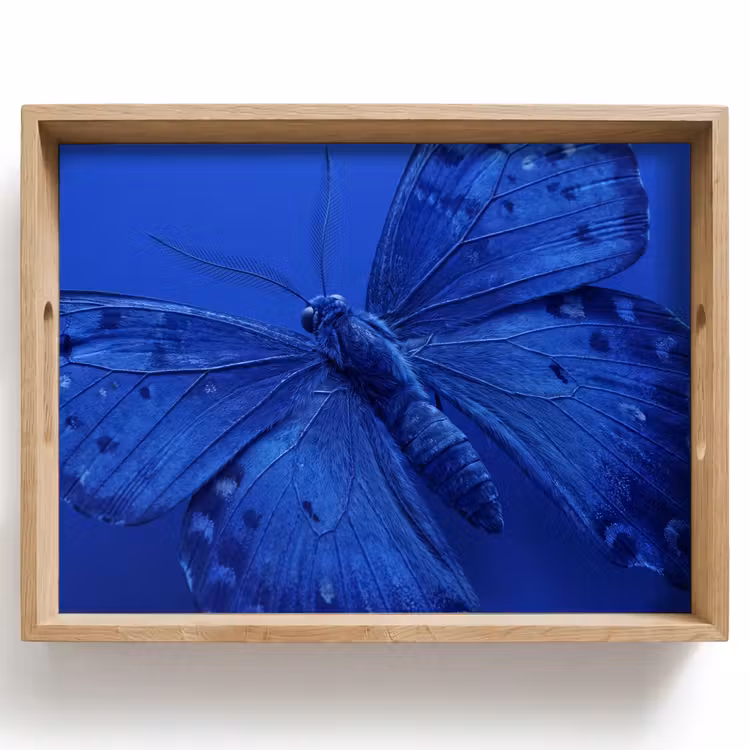 Tablett - Blauer Schmetterling – Insekt — 1