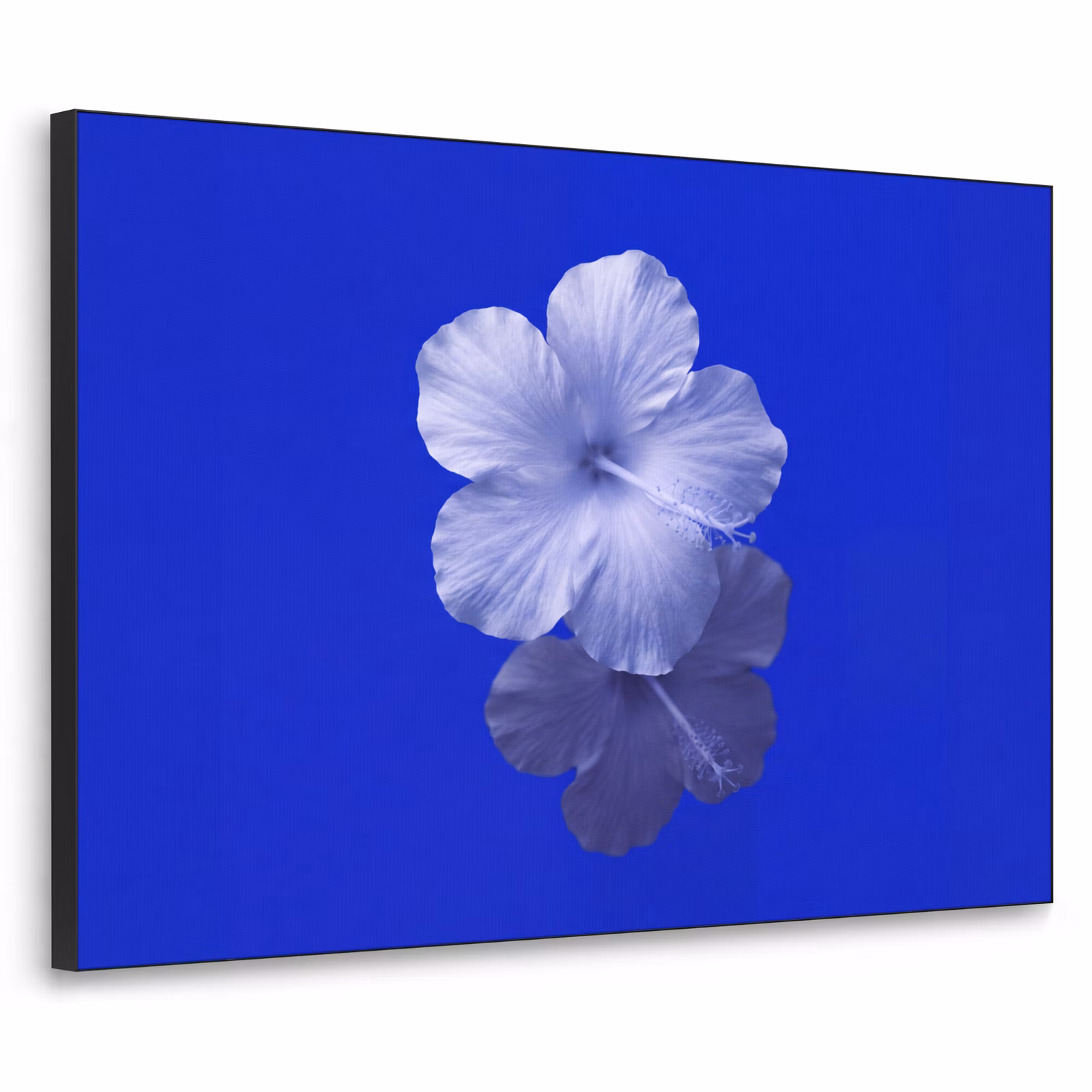 Art Frame - Blumen – Blau – Natur — 1