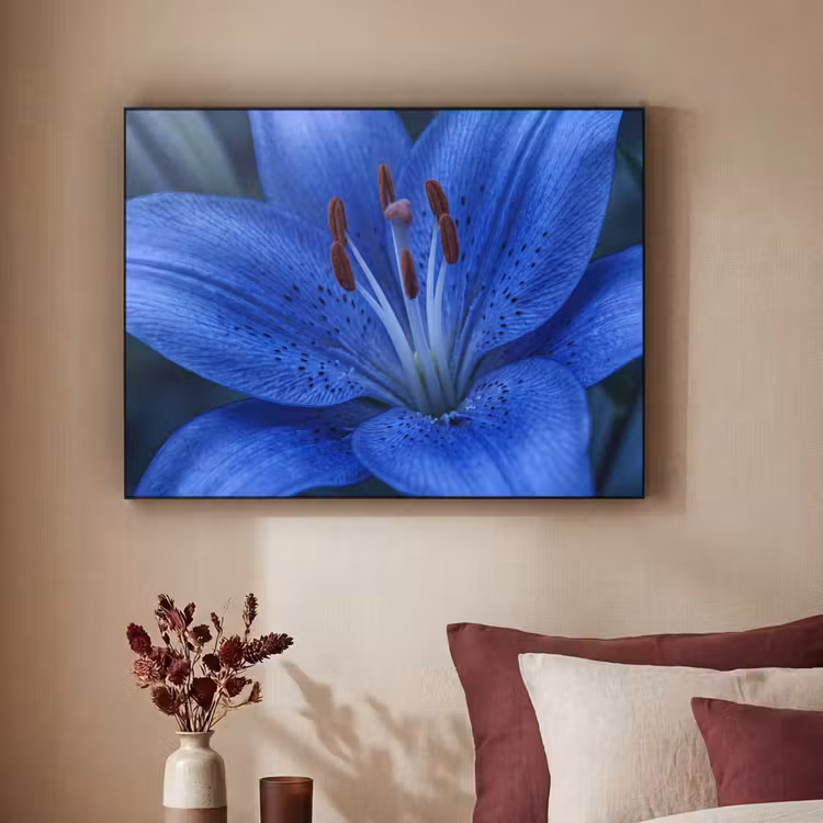 Art Frame - Blaue Blume – Natur — 2