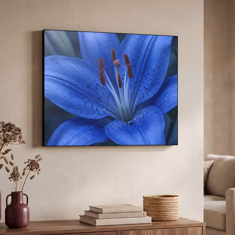 Art Frame - Blaue Blume – Natur — 3