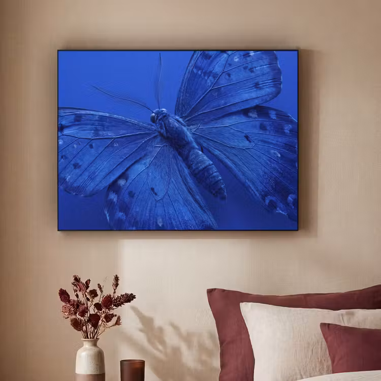 Art Frame - Blauer Schmetterling – Insekt — 2