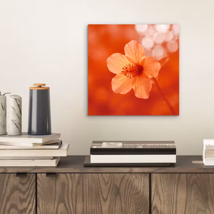 Alu-Dibond-Bild - Orangefarbene Blume – Makro — 2