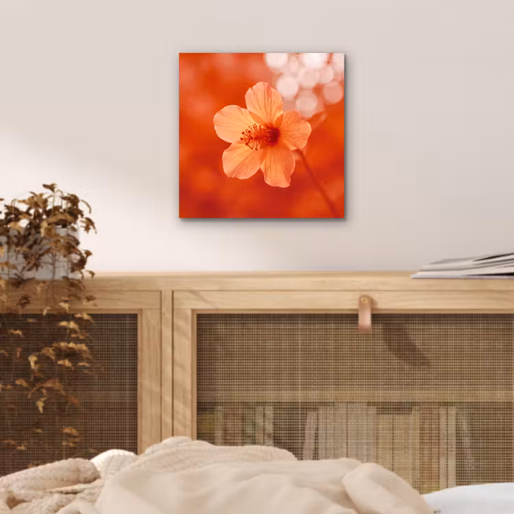 Alu-Dibond-Bild - Orangefarbene Blume – Makro — 4