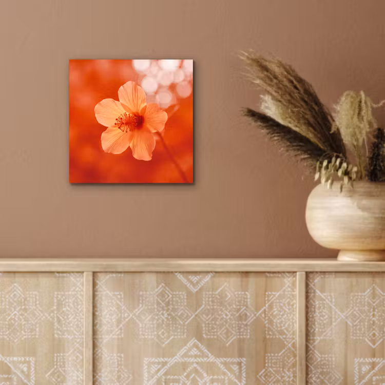 Alu-Dibond-Bild - Orangefarbene Blume – Makro — 5