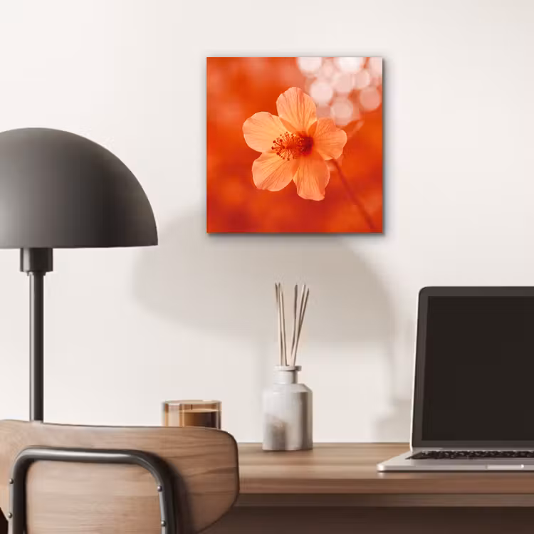 Alu-Dibond-Bild - Orangefarbene Blume – Makro — 6