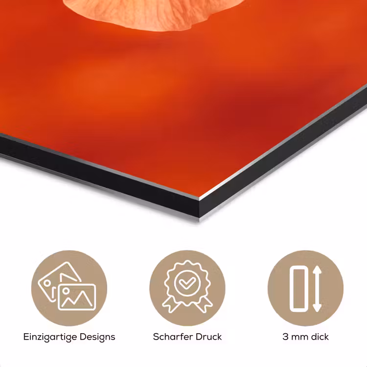 Alu-Dibond-Bild - Orangefarbene Blume – Makro — 7