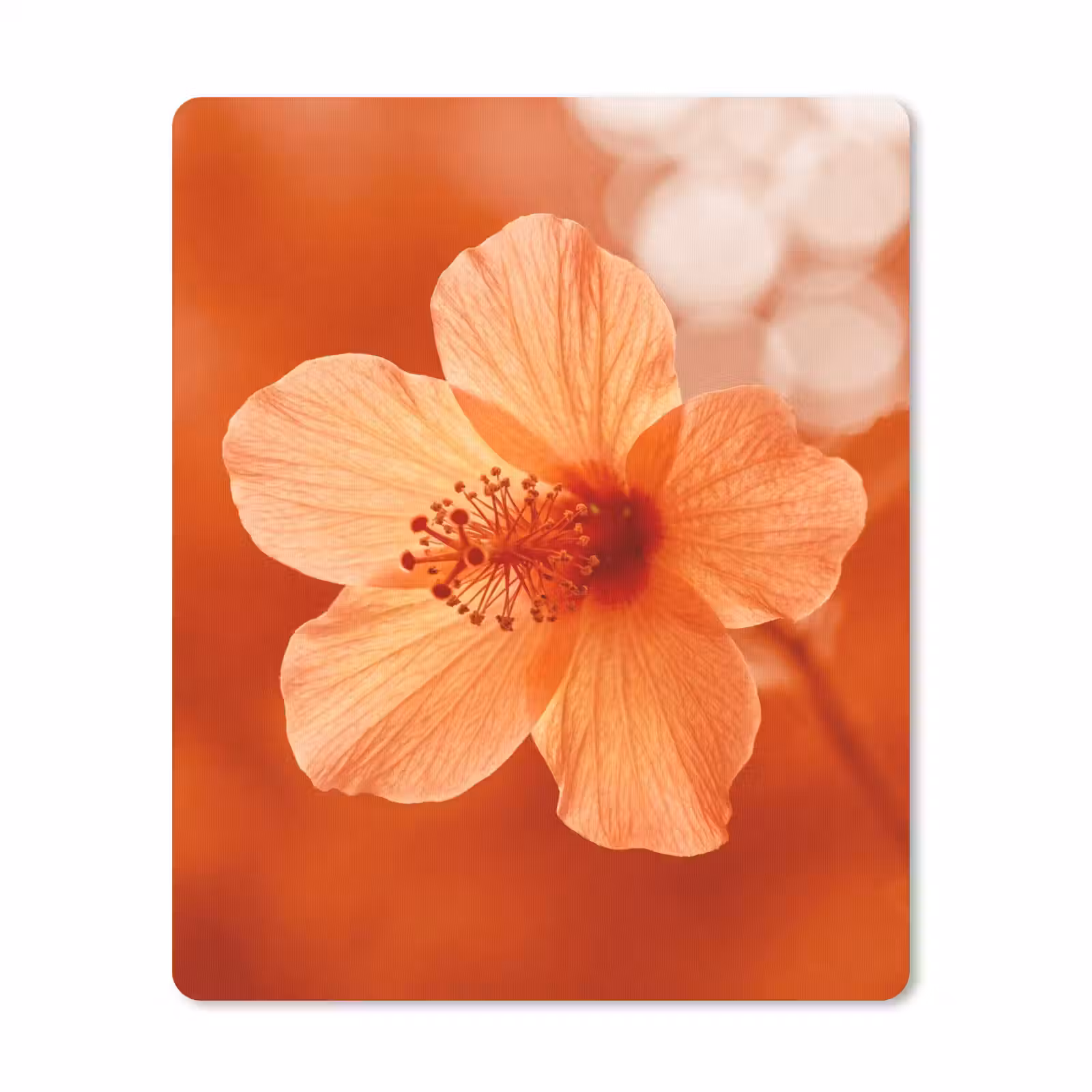 Mauspad - Orangefarbene Blume – Makro — 1