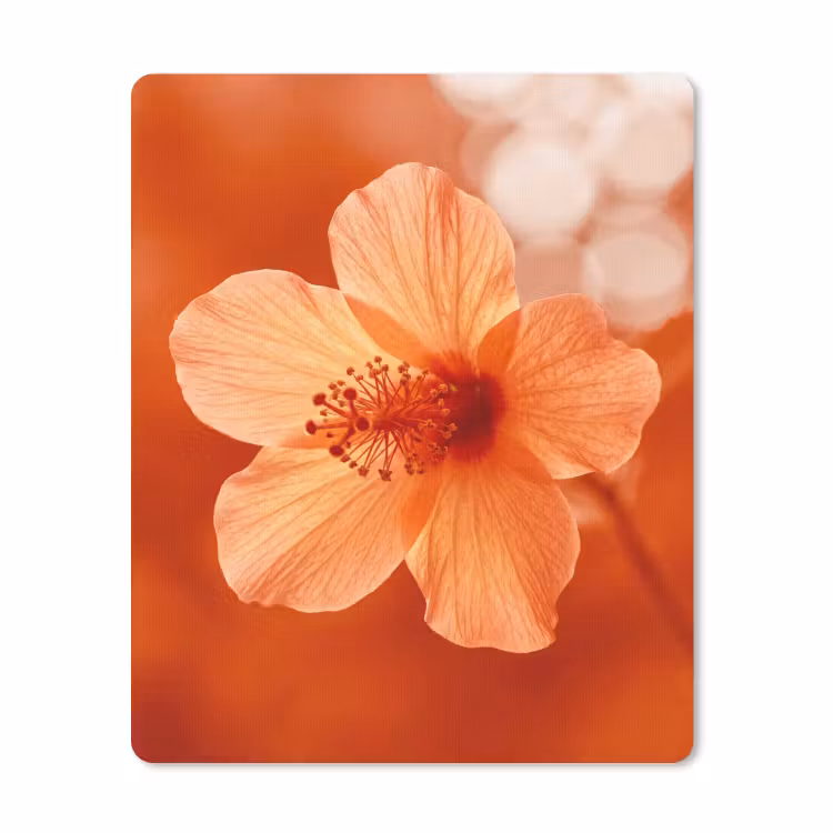 Mauspad - Orangefarbene Blume – Makro — 1