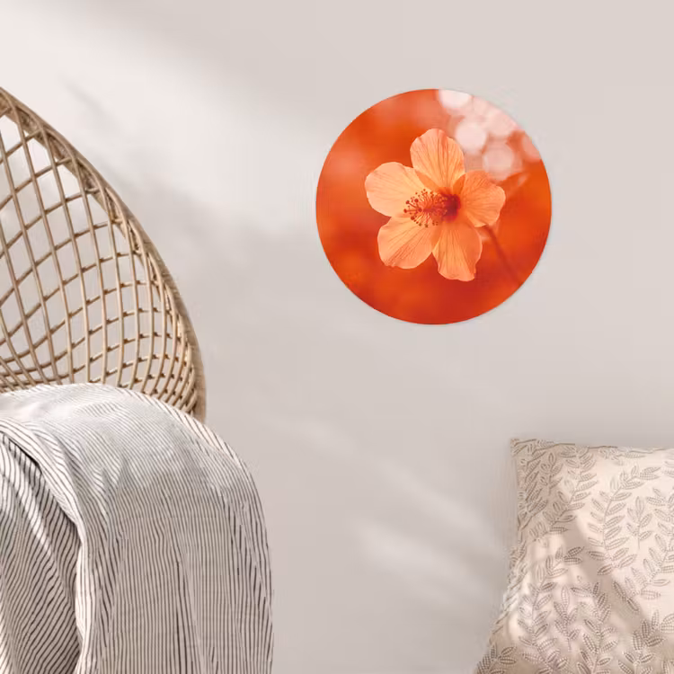Runde Tapete - Orangefarbene Blume – Makro — 5
