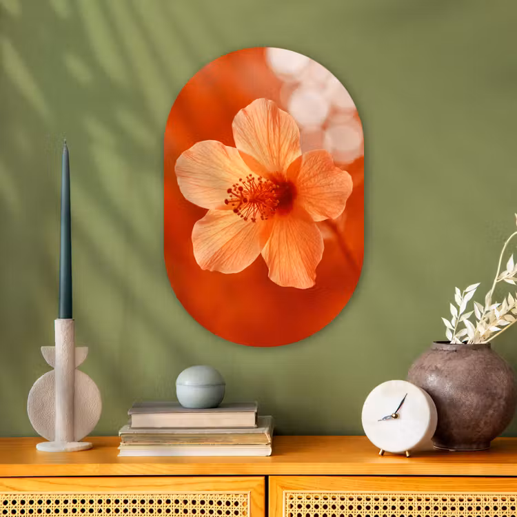 Forexbild Oval - Orangefarbene Blume – Makro — 3