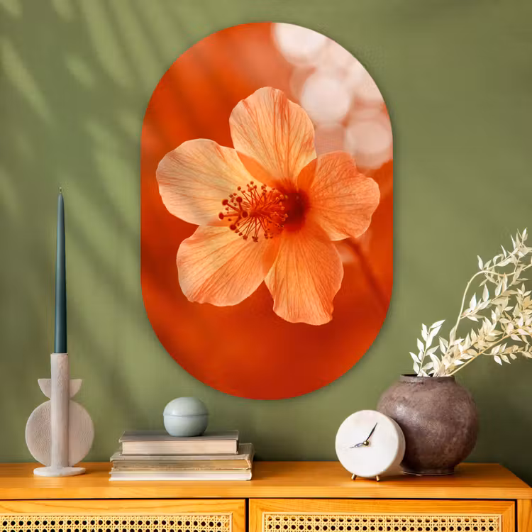 Glasbild Oval - Orangefarbene Blume – Makro — 2