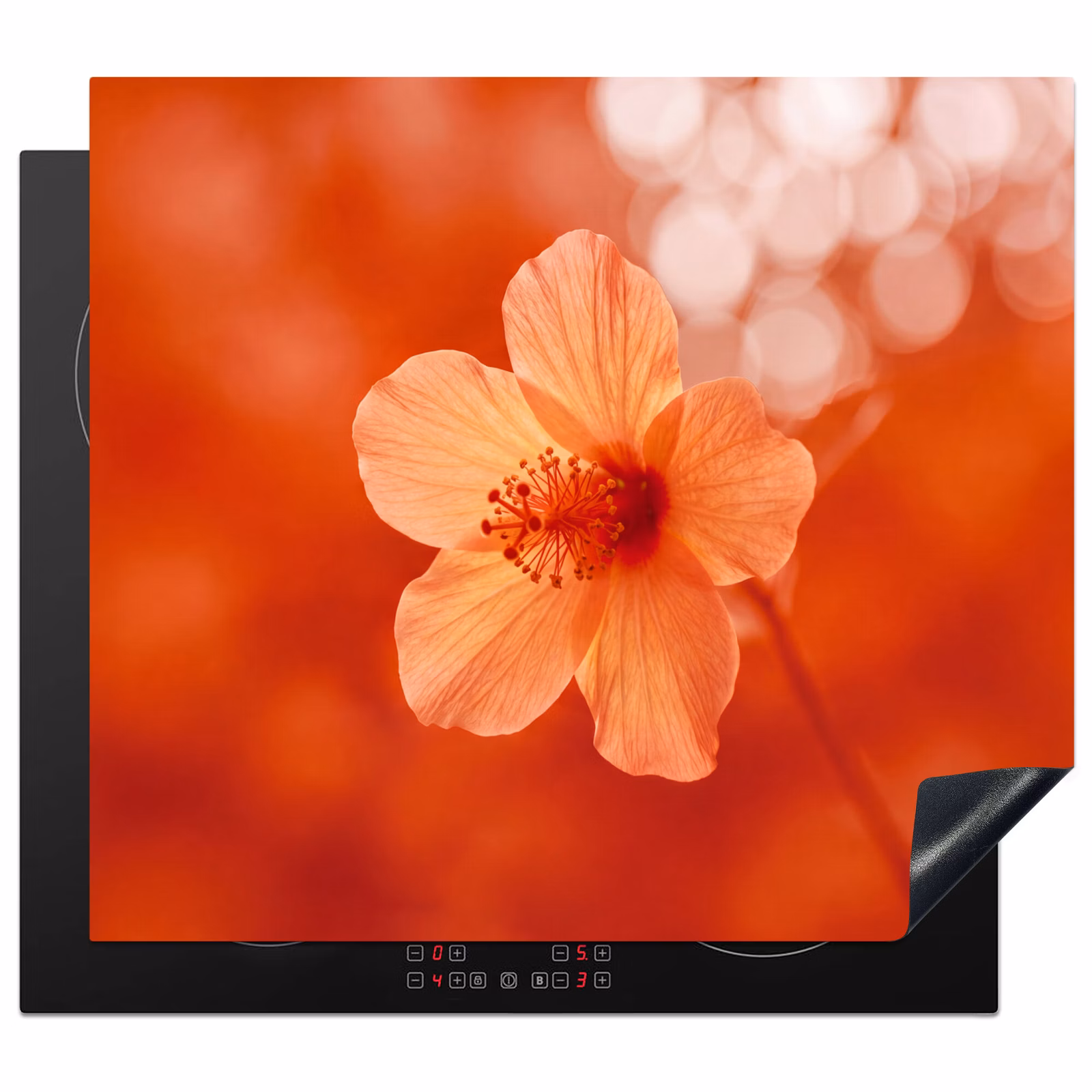 Herdabdeckplatte - Orangefarbene Blume – Makro — 1