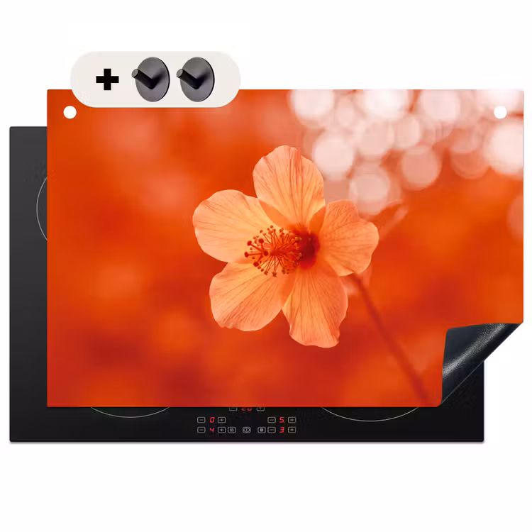 2-in-1 Herdabdeckplatte & Spritzschutz - Orangefarbene Blume – Makro — 1