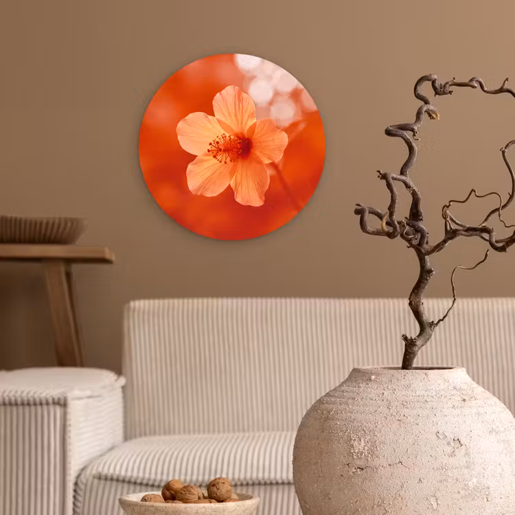 Forexbild Rund - Orangefarbene Blume – Makro — 2