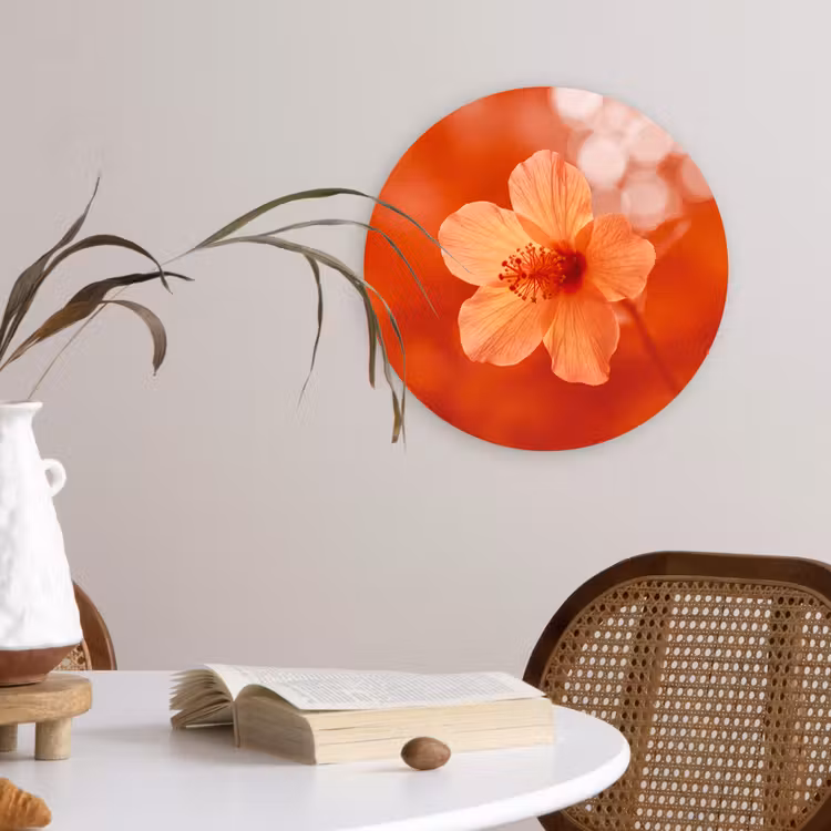 Forexbild Rund - Orangefarbene Blume – Makro — 4