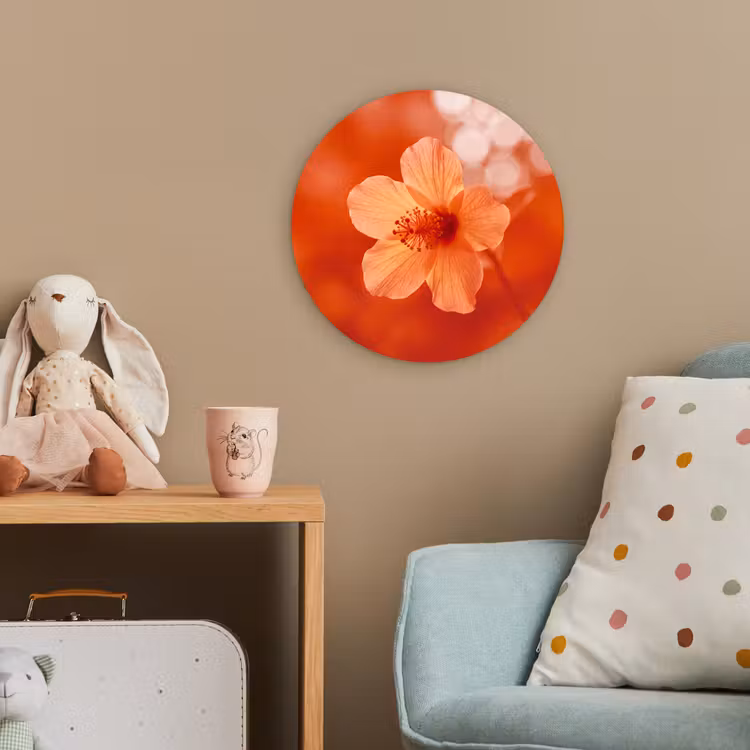 Forexbild Rund - Orangefarbene Blume – Makro — 5