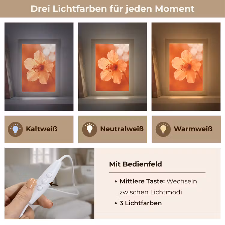 Personalisierte Lightbox - Orangefarbene Blume – Makro — 7