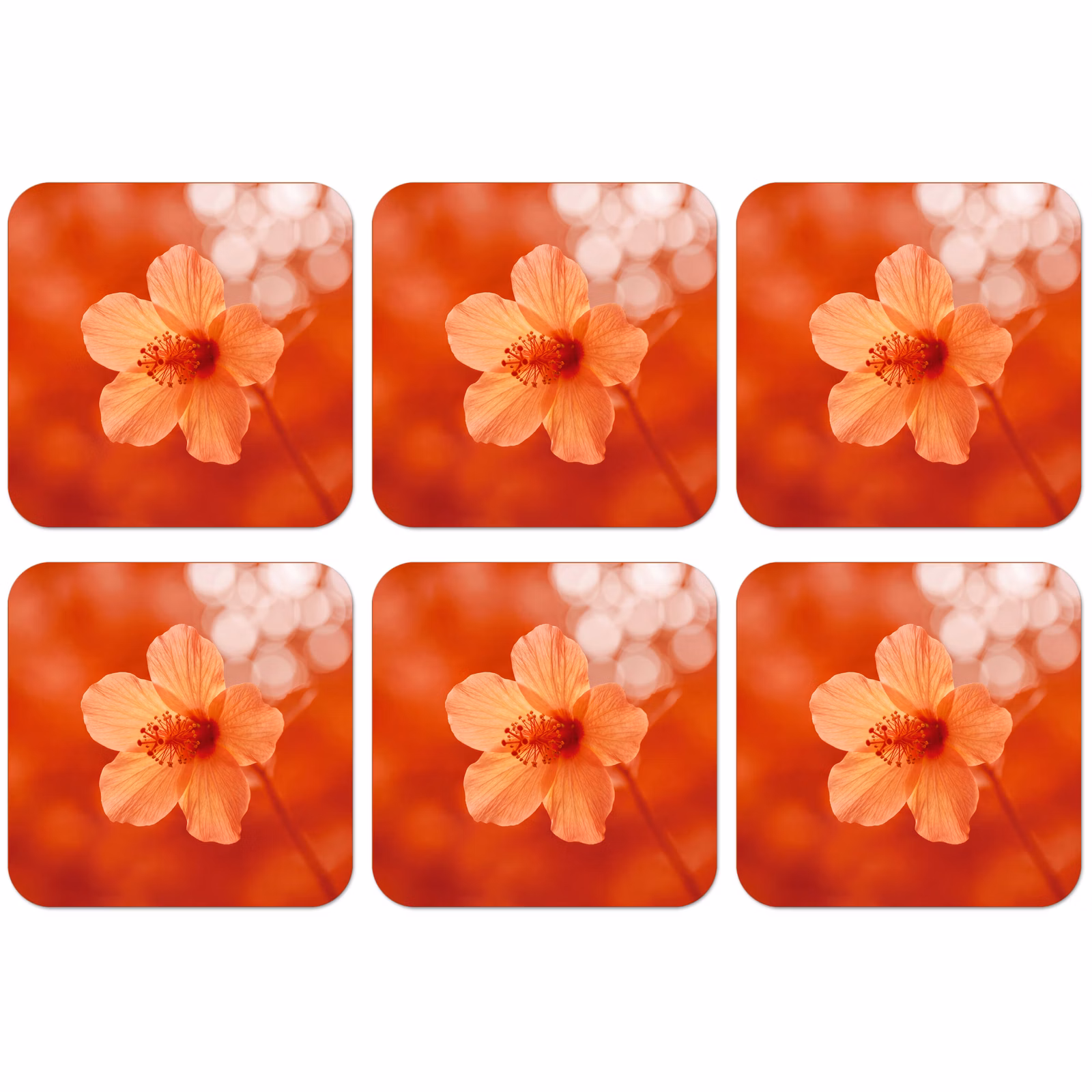 Untersetzer - Orangefarbene Blume – Makro — 1