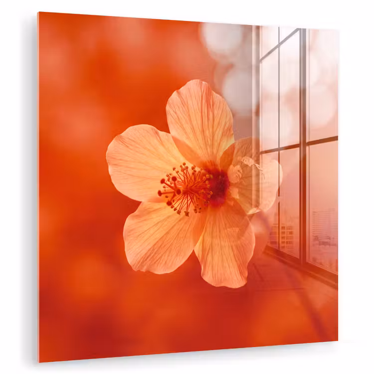Glasbild - Orangefarbene Blume – Makro — 1