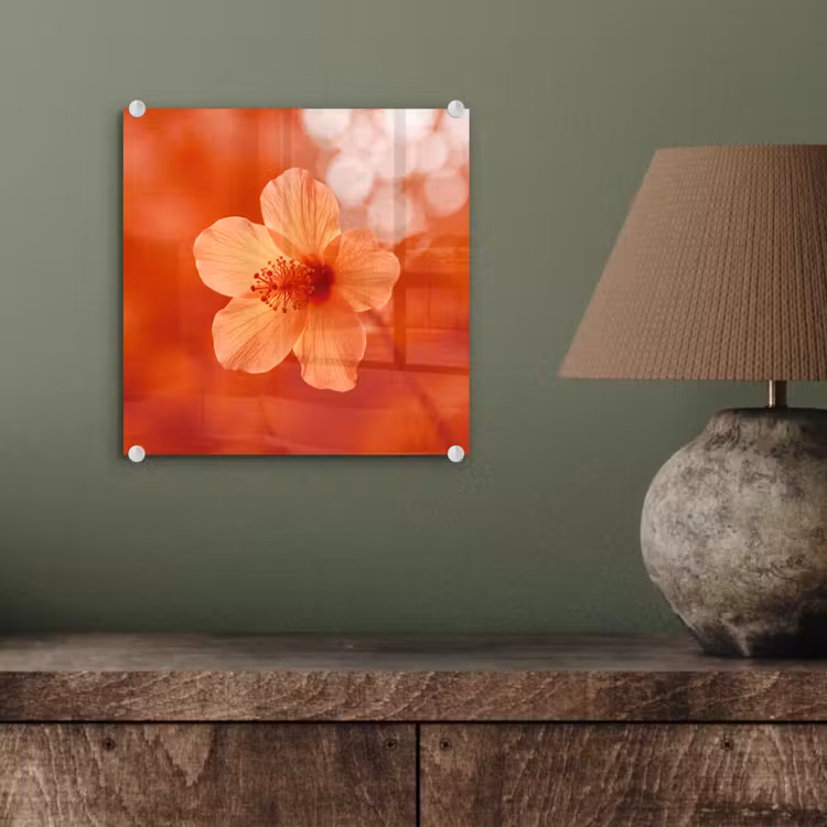 Glasbild - Orangefarbene Blume – Makro — 4