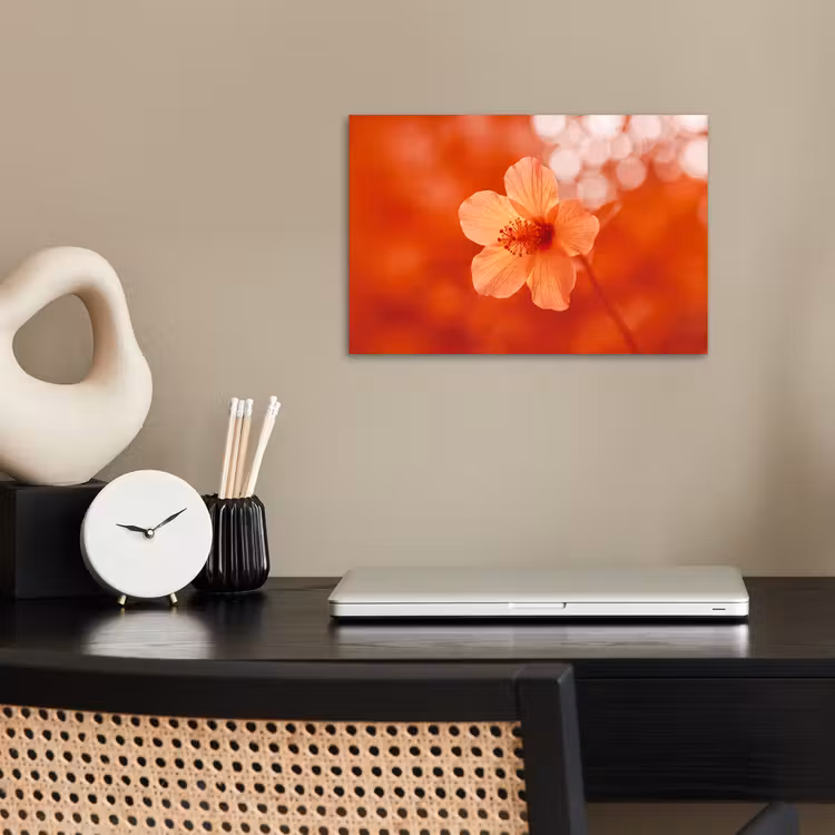 Poster - Orangefarbene Blume – Makro — 2