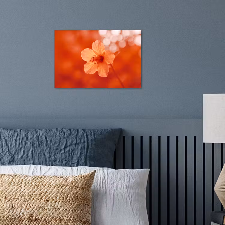 Poster - Orangefarbene Blume – Makro — 3