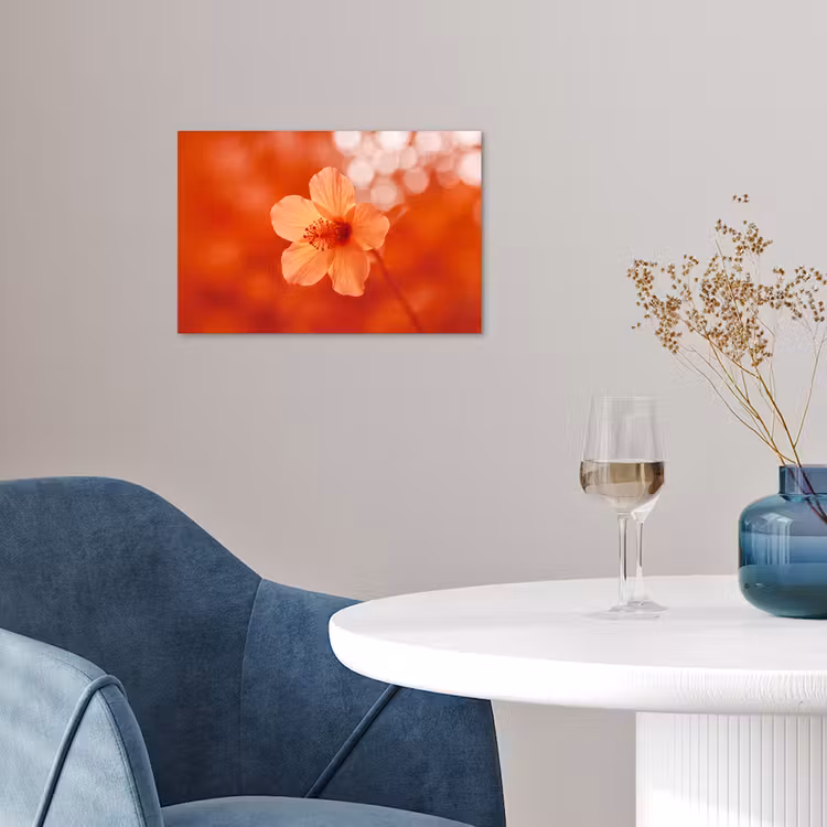 Poster - Orangefarbene Blume – Makro — 4