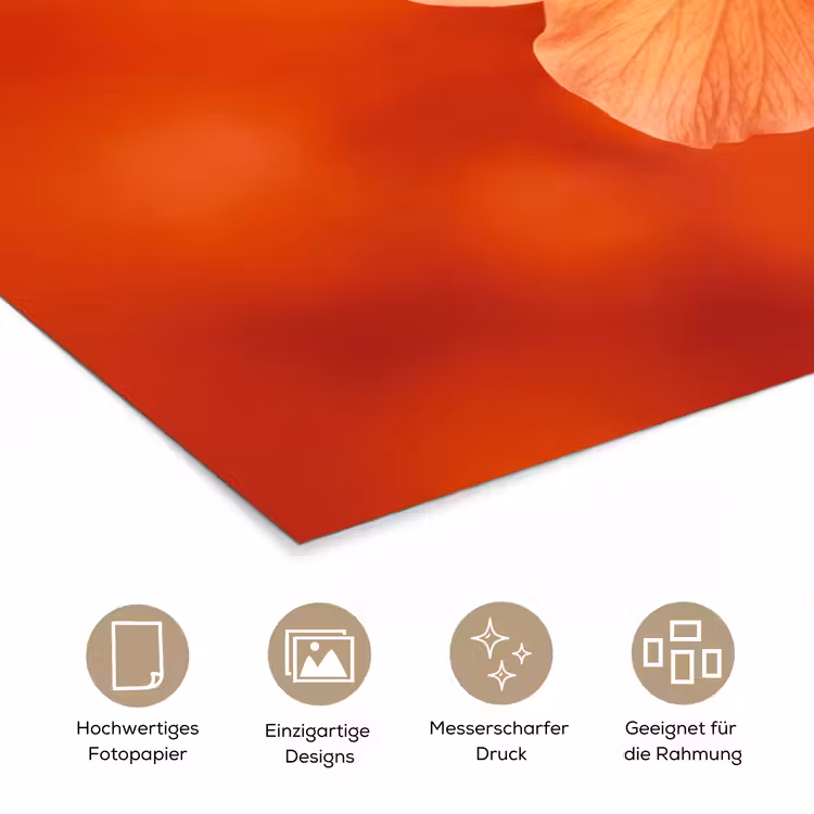 Poster - Orangefarbene Blume – Makro — 5