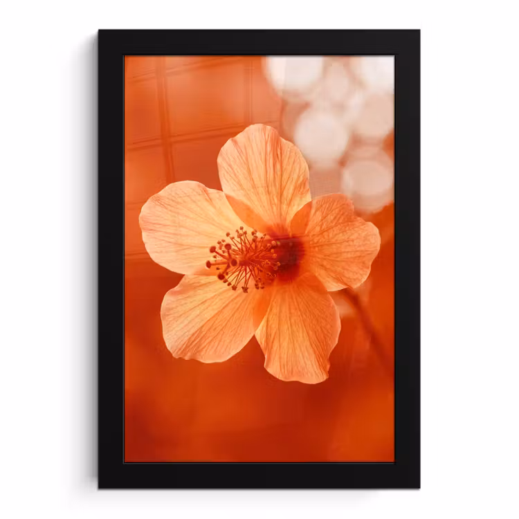 Bilder mit Rahmen - Orangefarbene Blume – Makro — 1