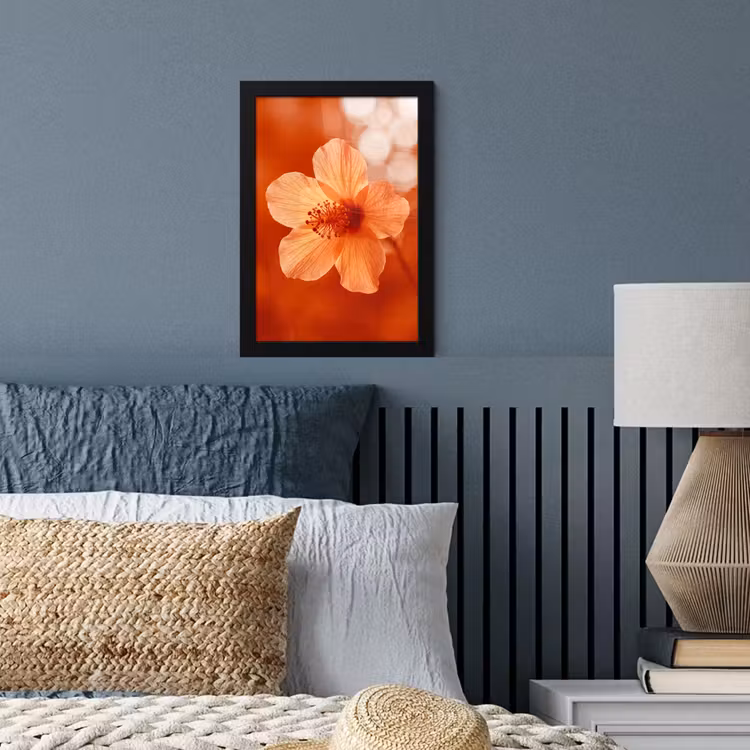 Bilder mit Rahmen - Orangefarbene Blume – Makro — 3