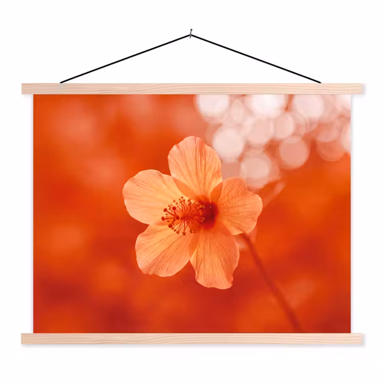 Stoffbild - Orangefarbene Blume – Makro — 1