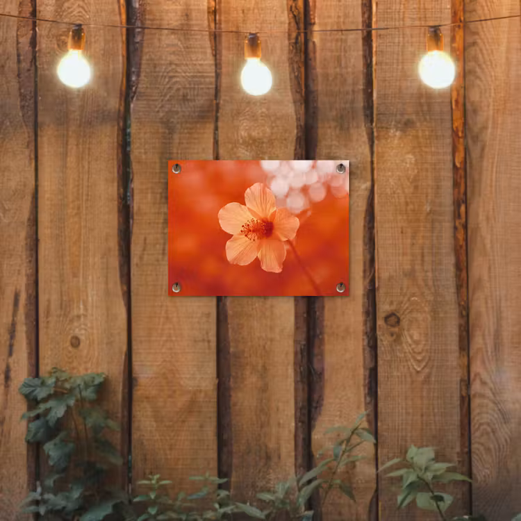Gartenposter - Orangefarbene Blume – Makro — 2