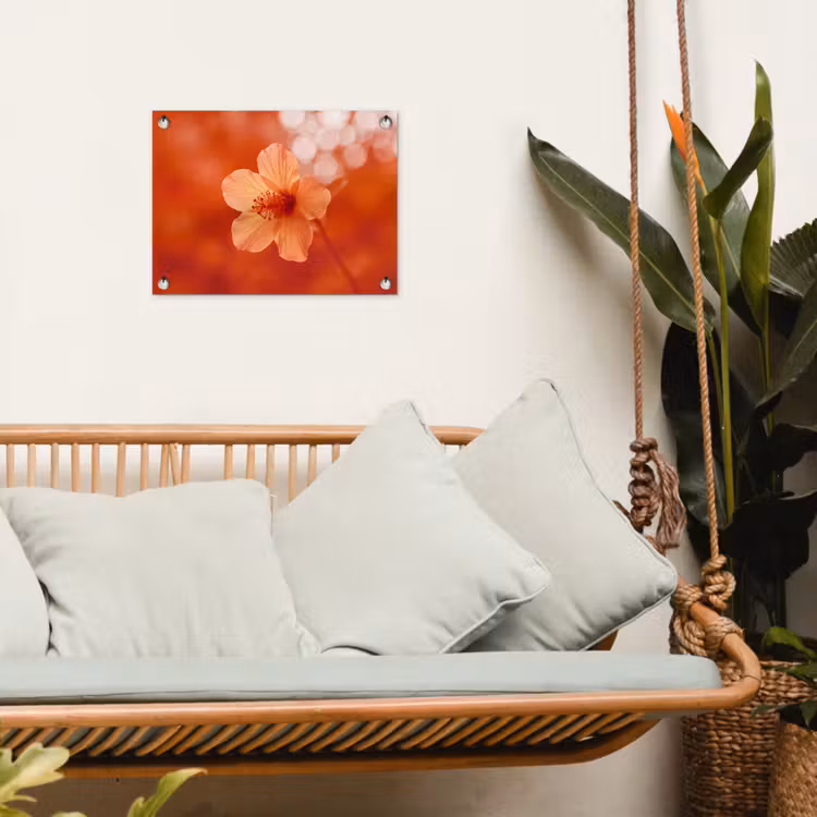 Gartenposter - Orangefarbene Blume – Makro — 4