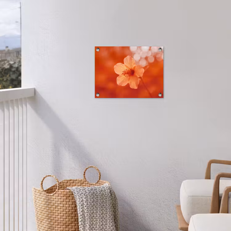 Gartenposter - Orangefarbene Blume – Makro — 5