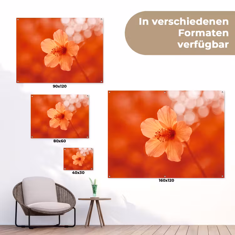Gartenposter - Orangefarbene Blume – Makro — 6
