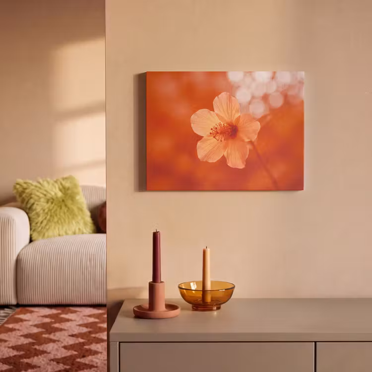 Akustikbild - Orangefarbene Blume – Makro — 2