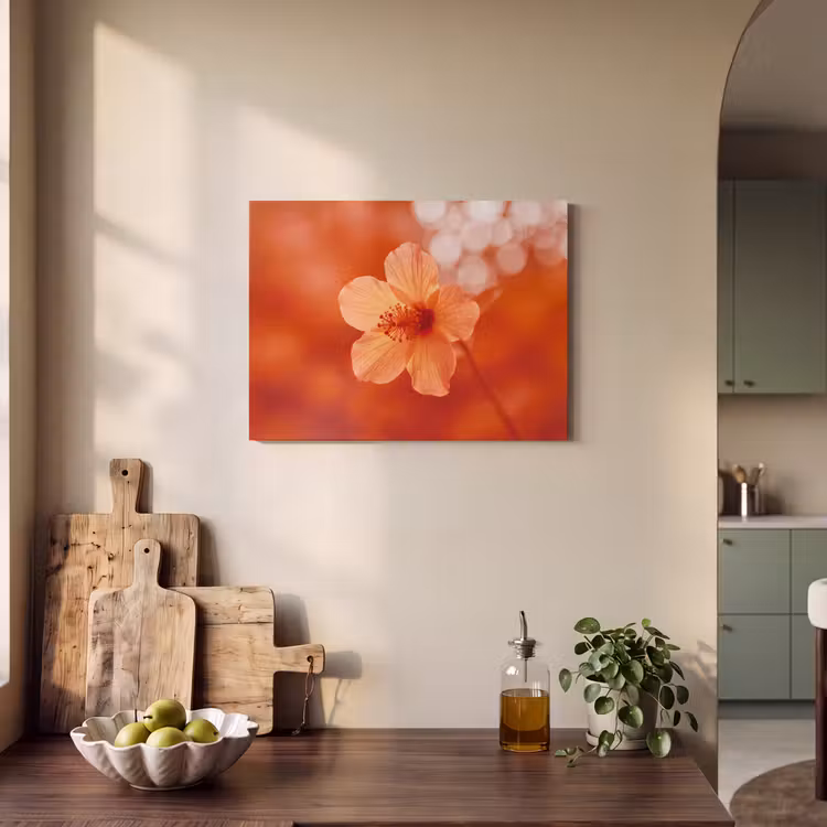 Akustikbild - Orangefarbene Blume – Makro — 4