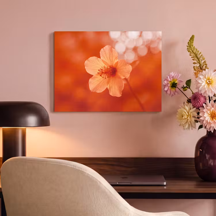Akustikbild - Orangefarbene Blume – Makro — 6