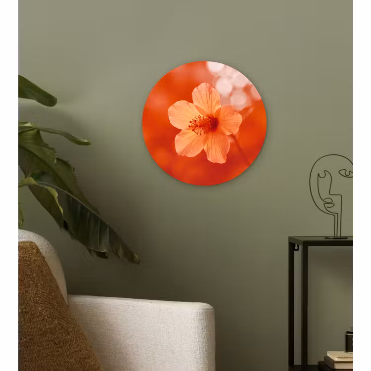Glasbild Rund - Orangefarbene Blume – Makro — 3