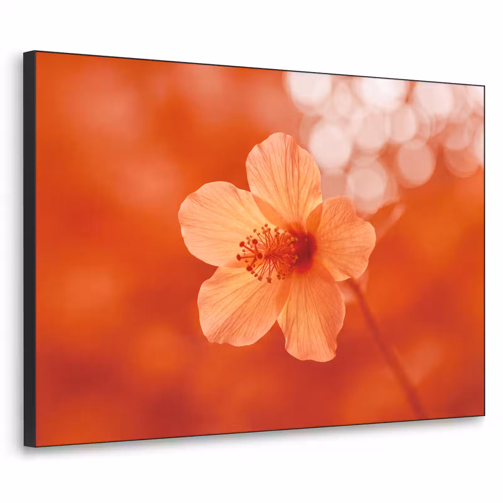 Art Frame - Orangefarbene Blume – Makro — 1