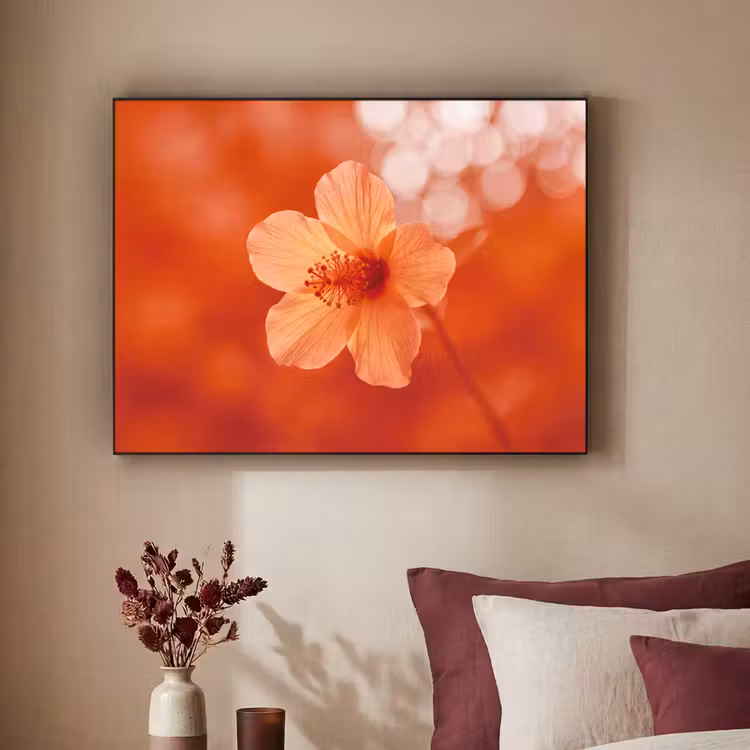 Art Frame - Orangefarbene Blume – Makro — 2