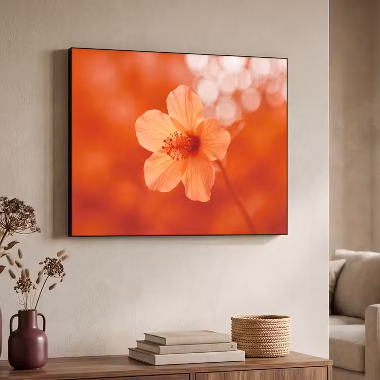 Art Frame - Orangefarbene Blume – Makro — 3