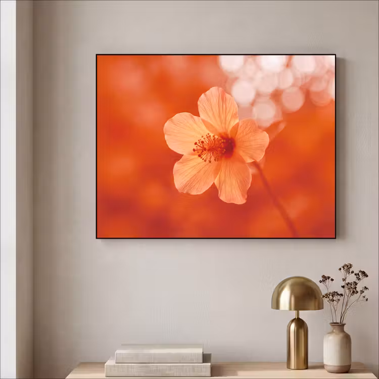 Art Frame - Orangefarbene Blume – Makro — 4