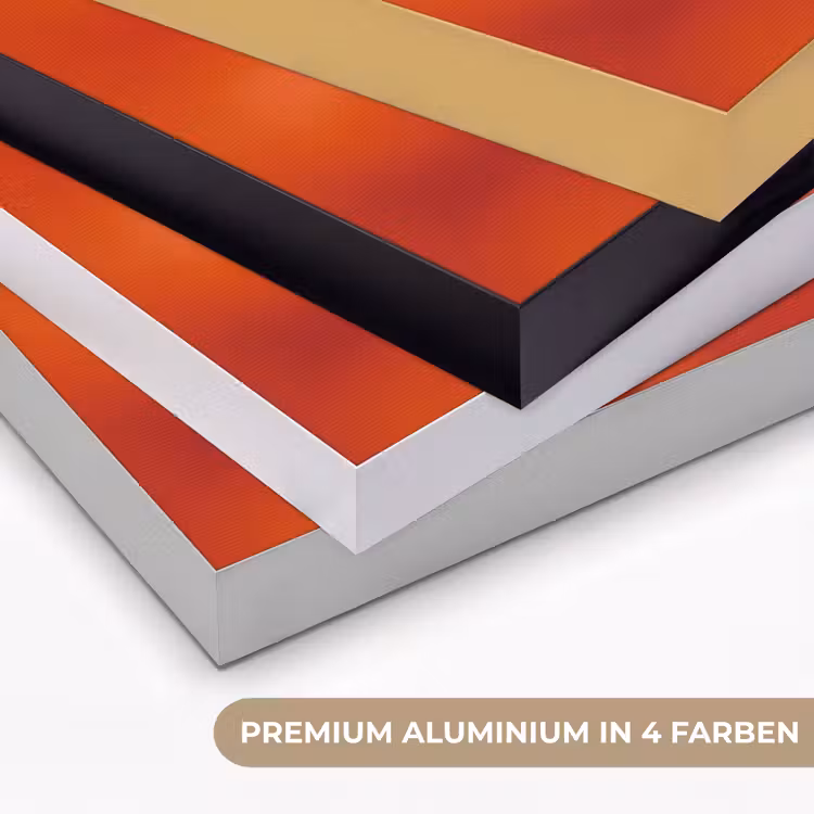 Art Frame - Orangefarbene Blume – Makro — 5