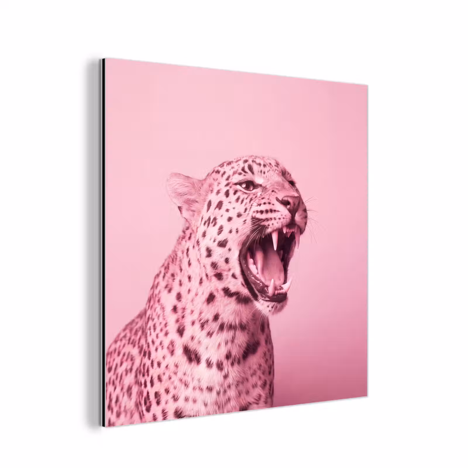 Alu-Dibond-Bild - Rosa Katze – Modern — 1