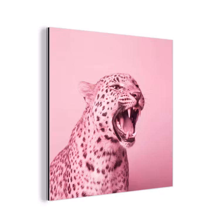 Alu-Dibond-Bild - Rosa Katze – Modern — 1