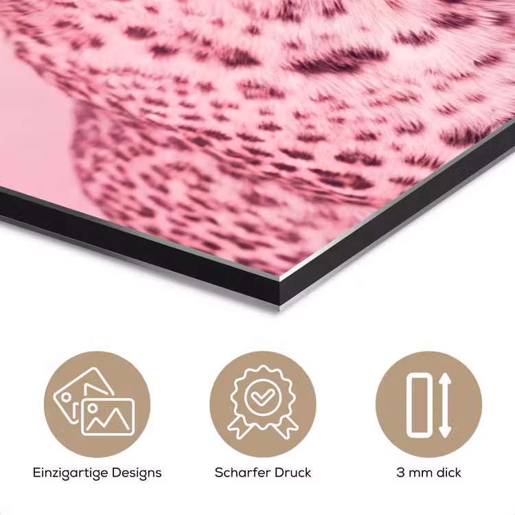 Alu-Dibond-Bild - Rosa Katze – Modern — 7