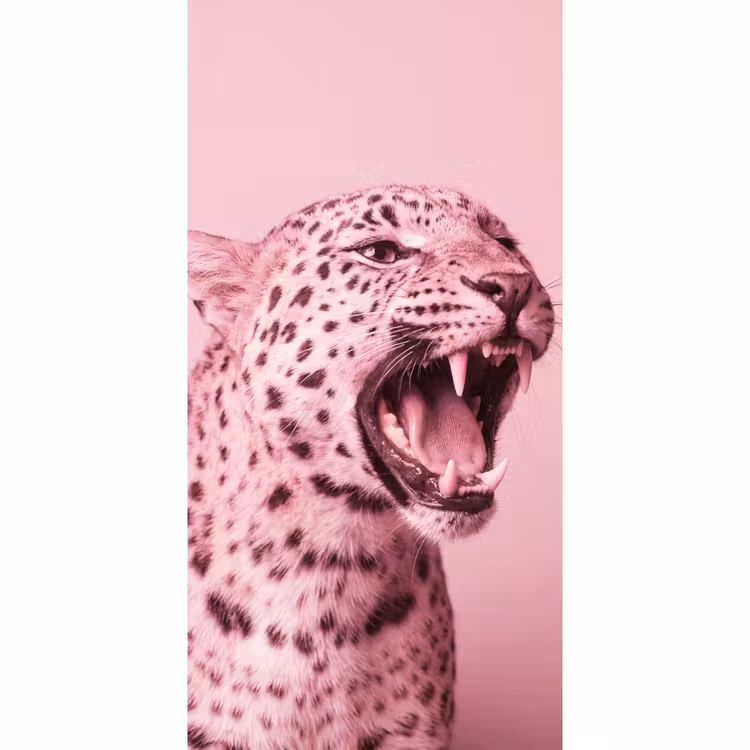 Tapete - Rosa Katze – Modern — 2