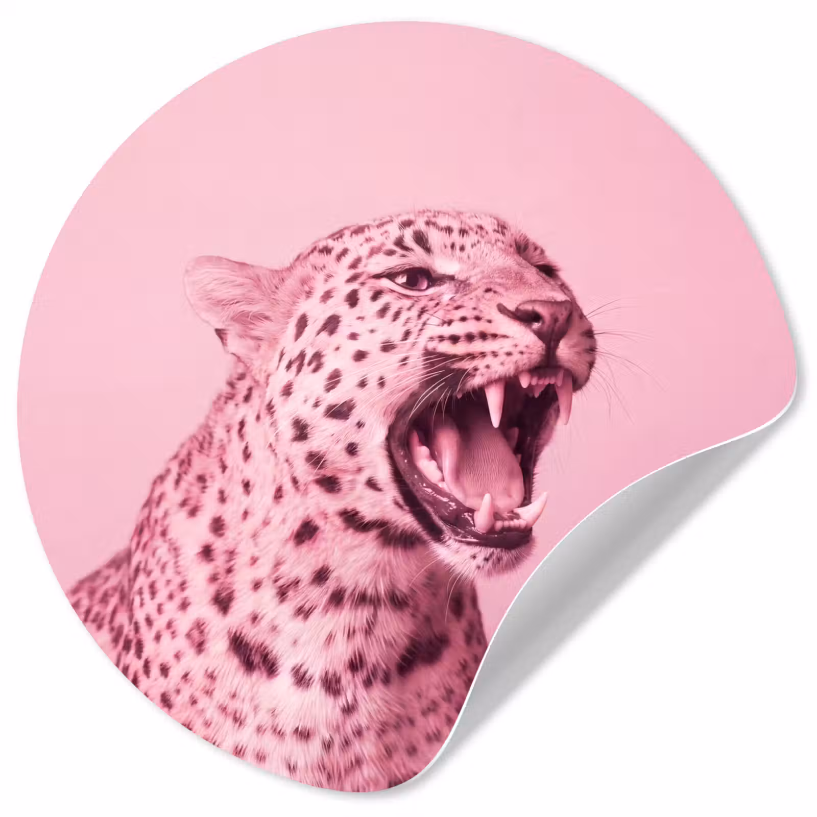 Runde Tapete - Rosa Katze – Modern — 1
